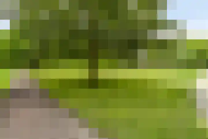 Statenlaan 44 Middelburg thumbnail 25