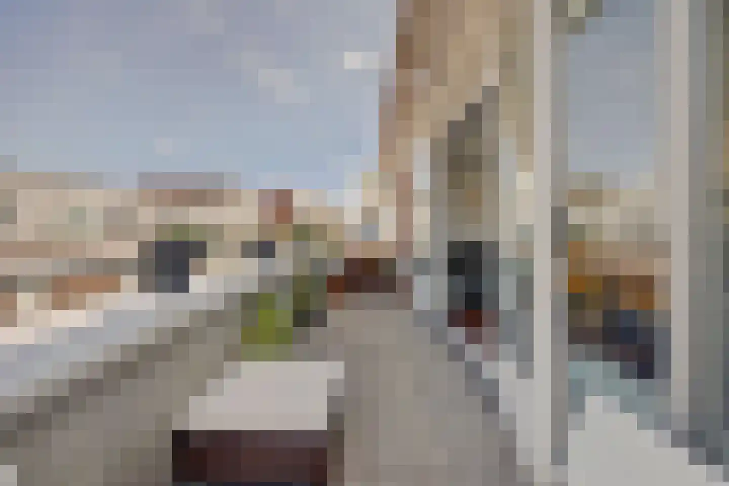 Statenlaan 441 's-Hertogenbosch thumbnail 17