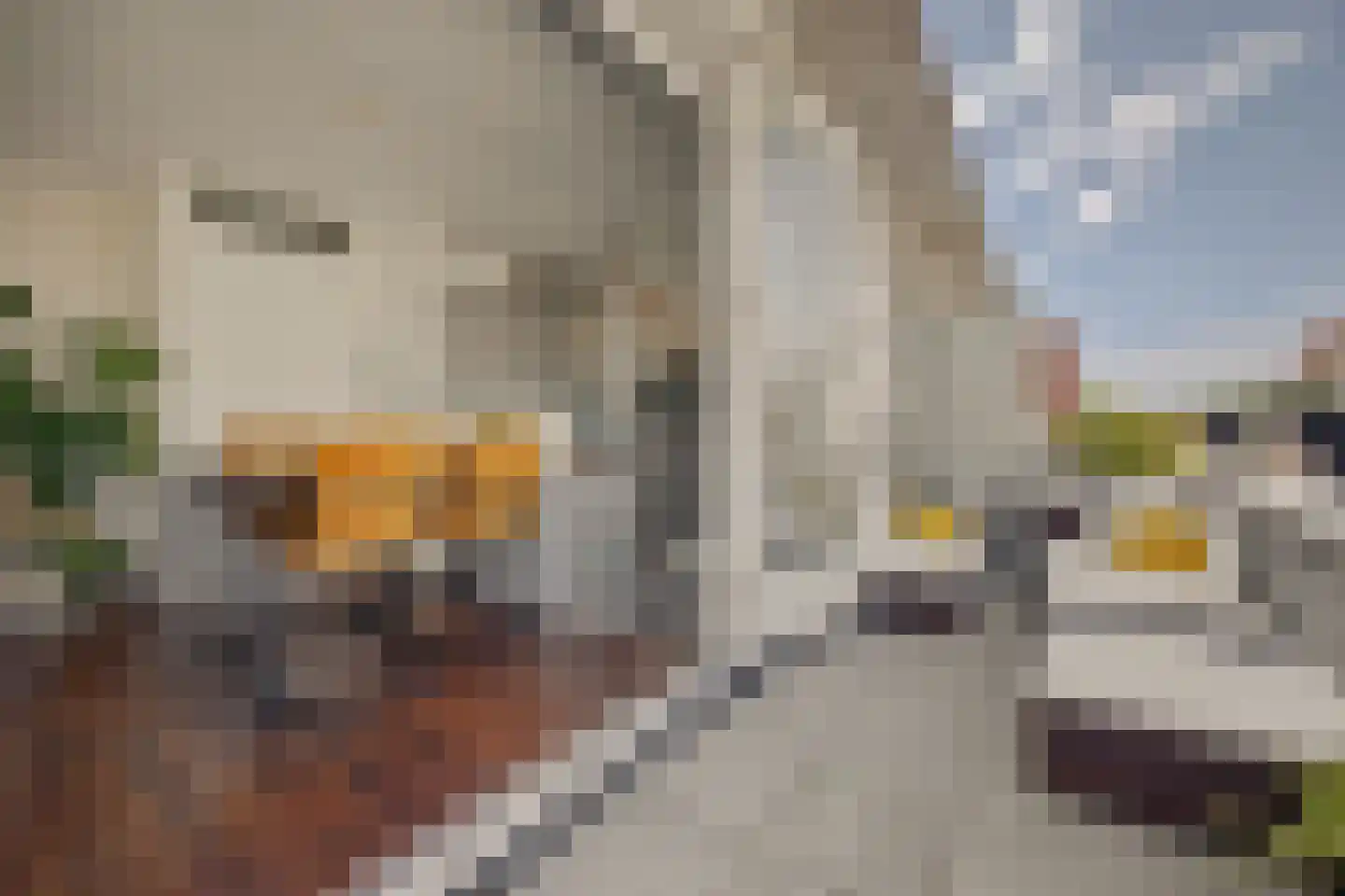 Statenlaan 441 's-Hertogenbosch thumbnail 18