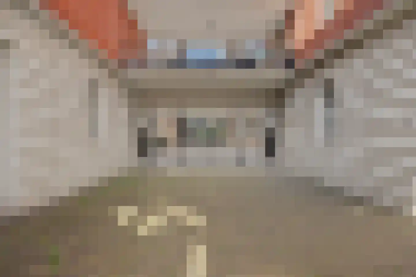Statenlaan 441 's-Hertogenbosch thumbnail 33