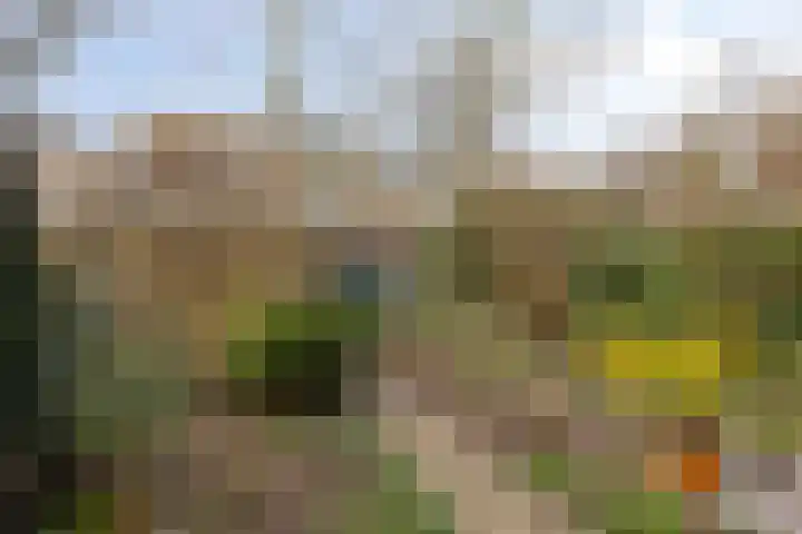 Statenlaan 45 Arnhem thumbnail 25