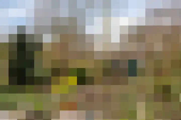 Statenlaan 45 Arnhem thumbnail 26