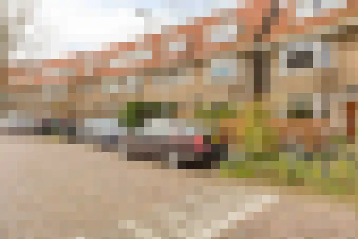 Statenlaan 45 Arnhem thumbnail 32