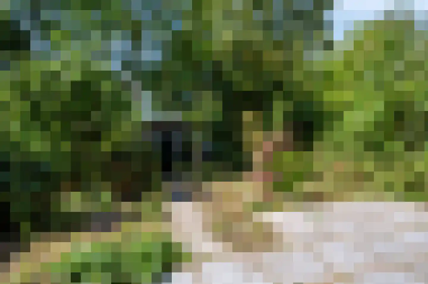 Statenlaan 45 Arnhem thumbnail 33