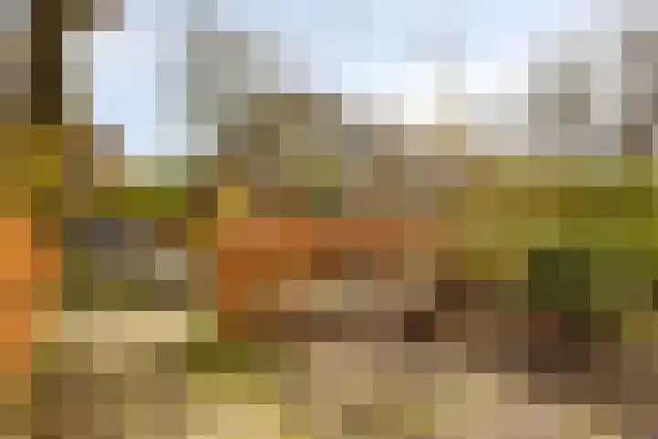 Statenlaan 45 Arnhem thumbnail 6
