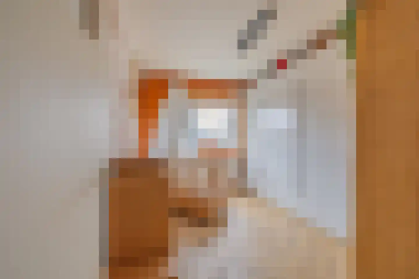 Statenlaan 46 Middelburg thumbnail 30