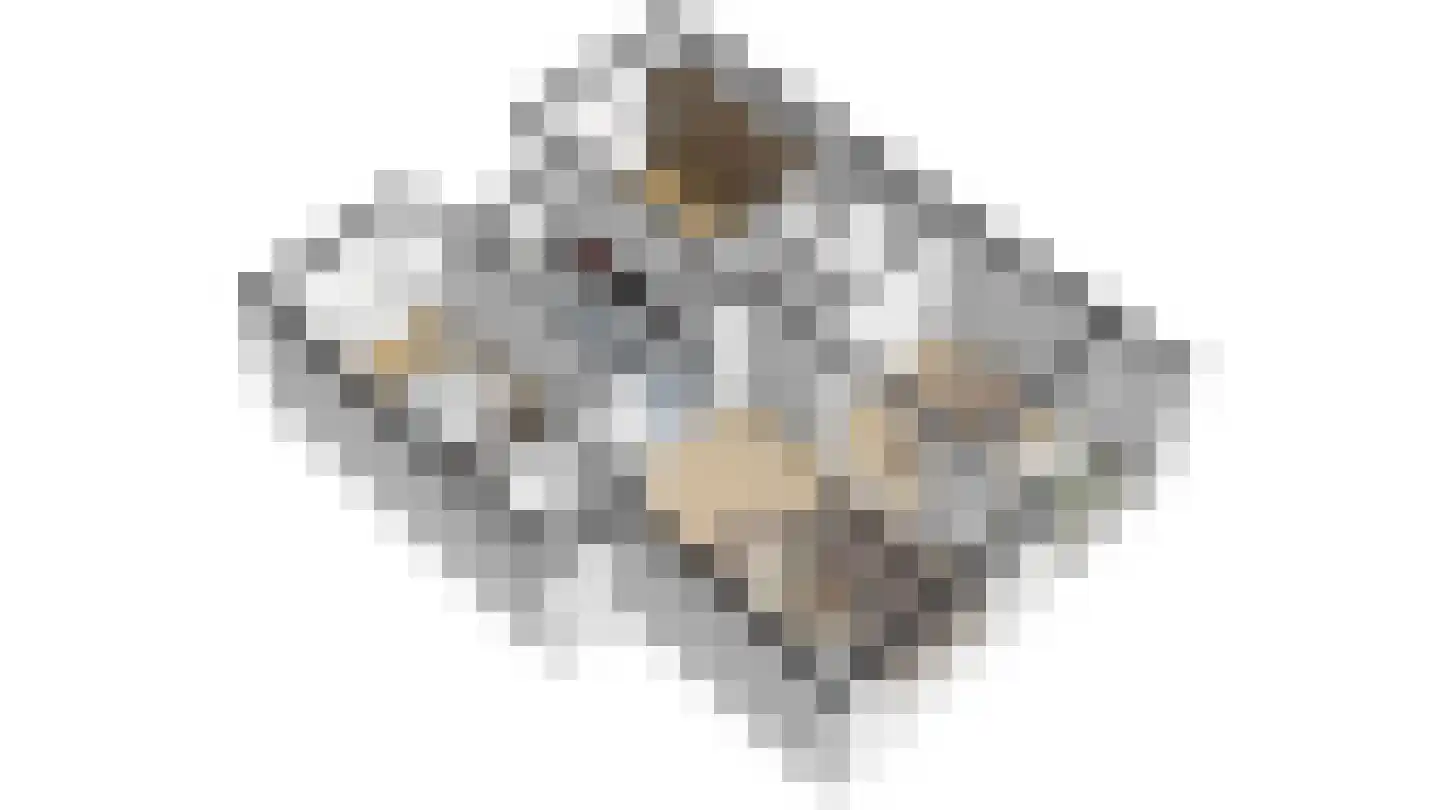 Statenlaan 46 Middelburg thumbnail 6