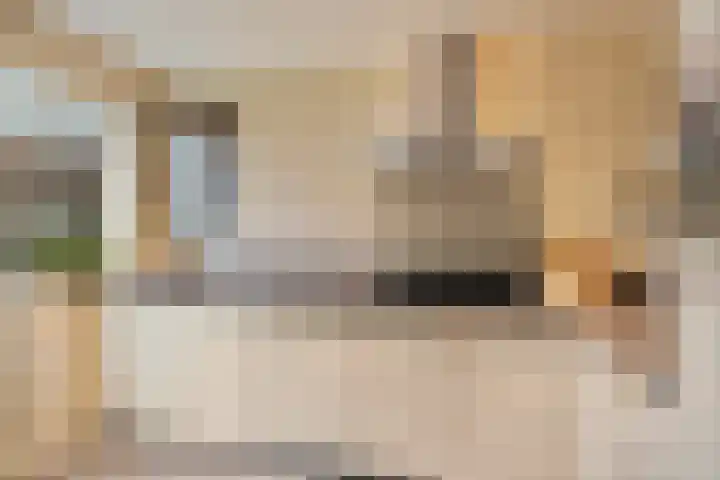 Statenlaan 5 Arnhem thumbnail 20