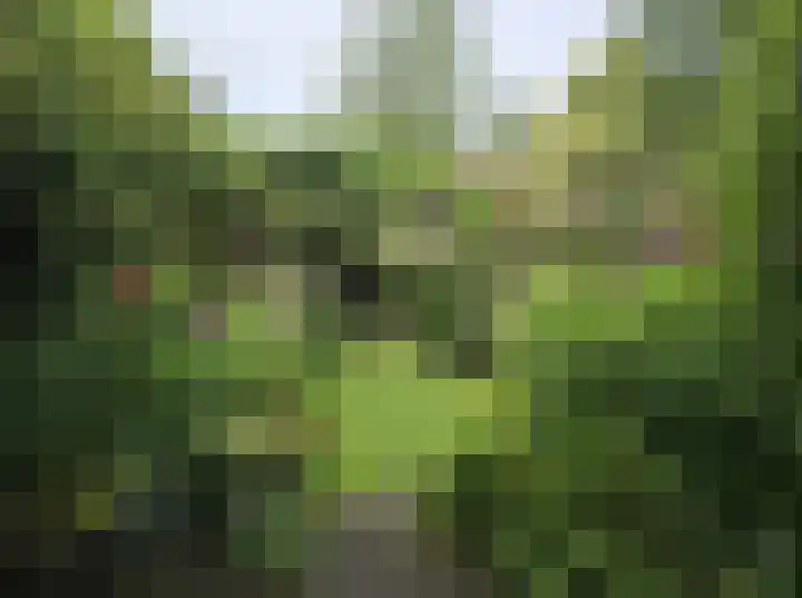 Statenlaan 5 Arnhem thumbnail 38