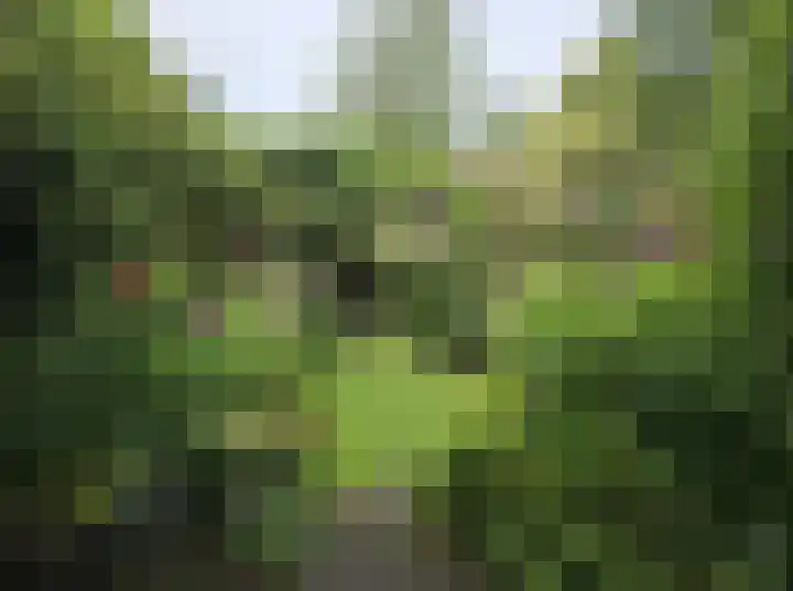 Statenlaan 5 Arnhem thumbnail 39