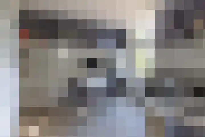 Statenlaan 5 Bussum thumbnail 11