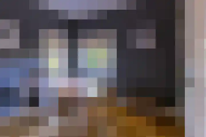 Statenlaan 5 Bussum thumbnail 12