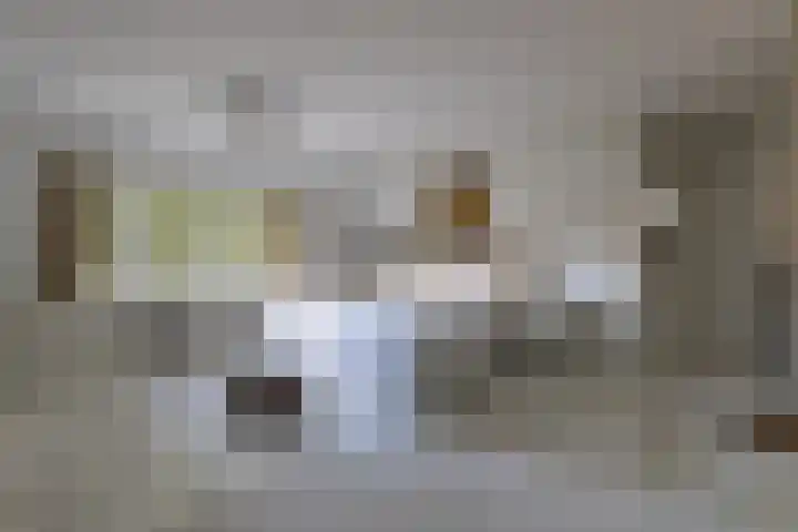 Statenlaan 5 Bussum thumbnail 15