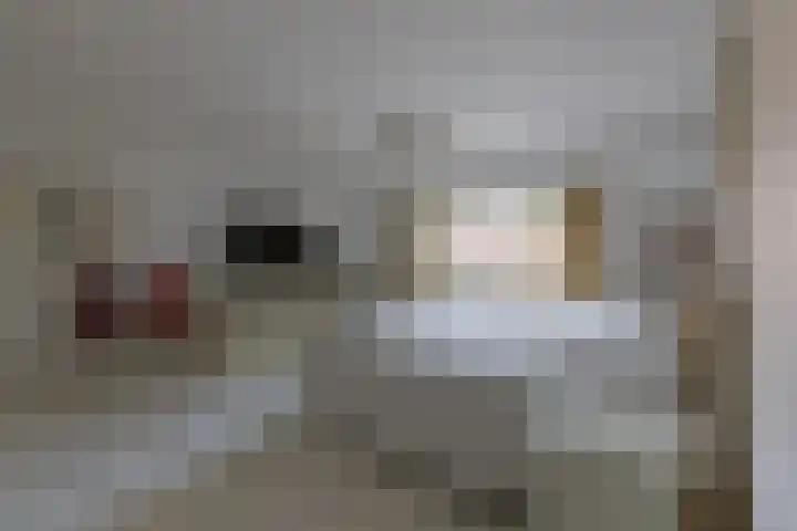 Statenlaan 5 Bussum thumbnail 17