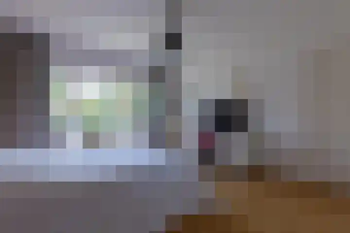 Statenlaan 5 Bussum thumbnail 19