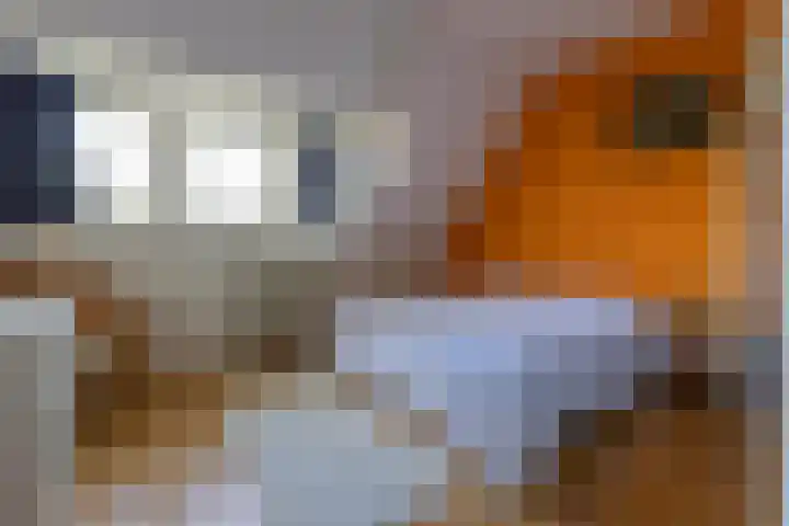 Statenlaan 5 Bussum thumbnail 28