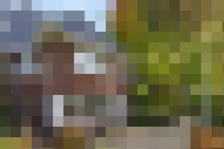 Statenlaan 5 Bussum thumbnail 33
