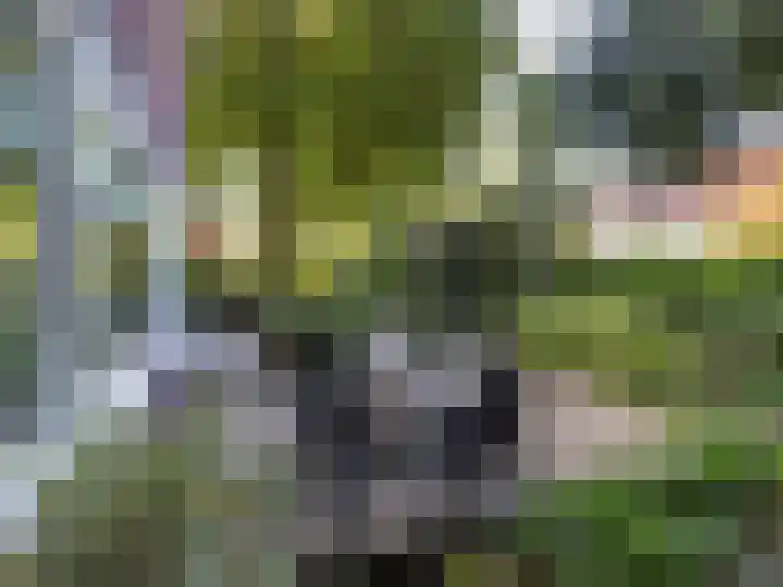 Statenlaan 5 Bussum thumbnail 34