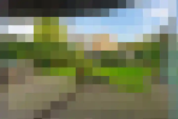 Statenlaan 5 Bussum thumbnail 38