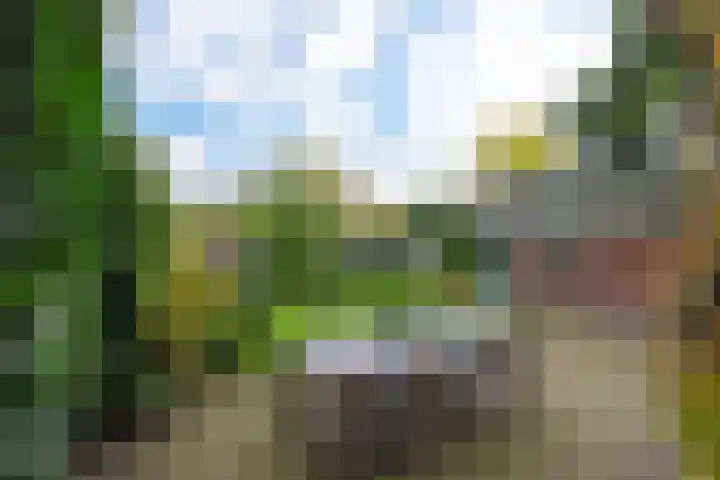 Statenlaan 5 Bussum thumbnail 39