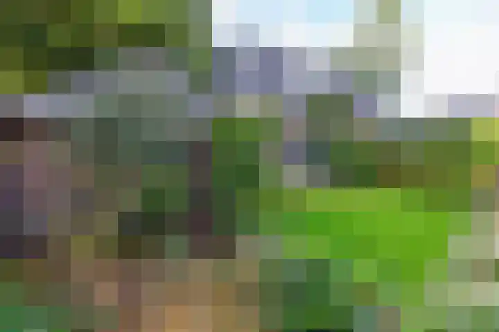 Statenlaan 5 Bussum thumbnail 40