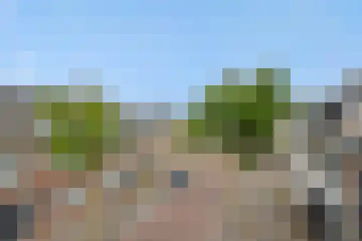 Statenlaan 54 Helmond thumbnail 7