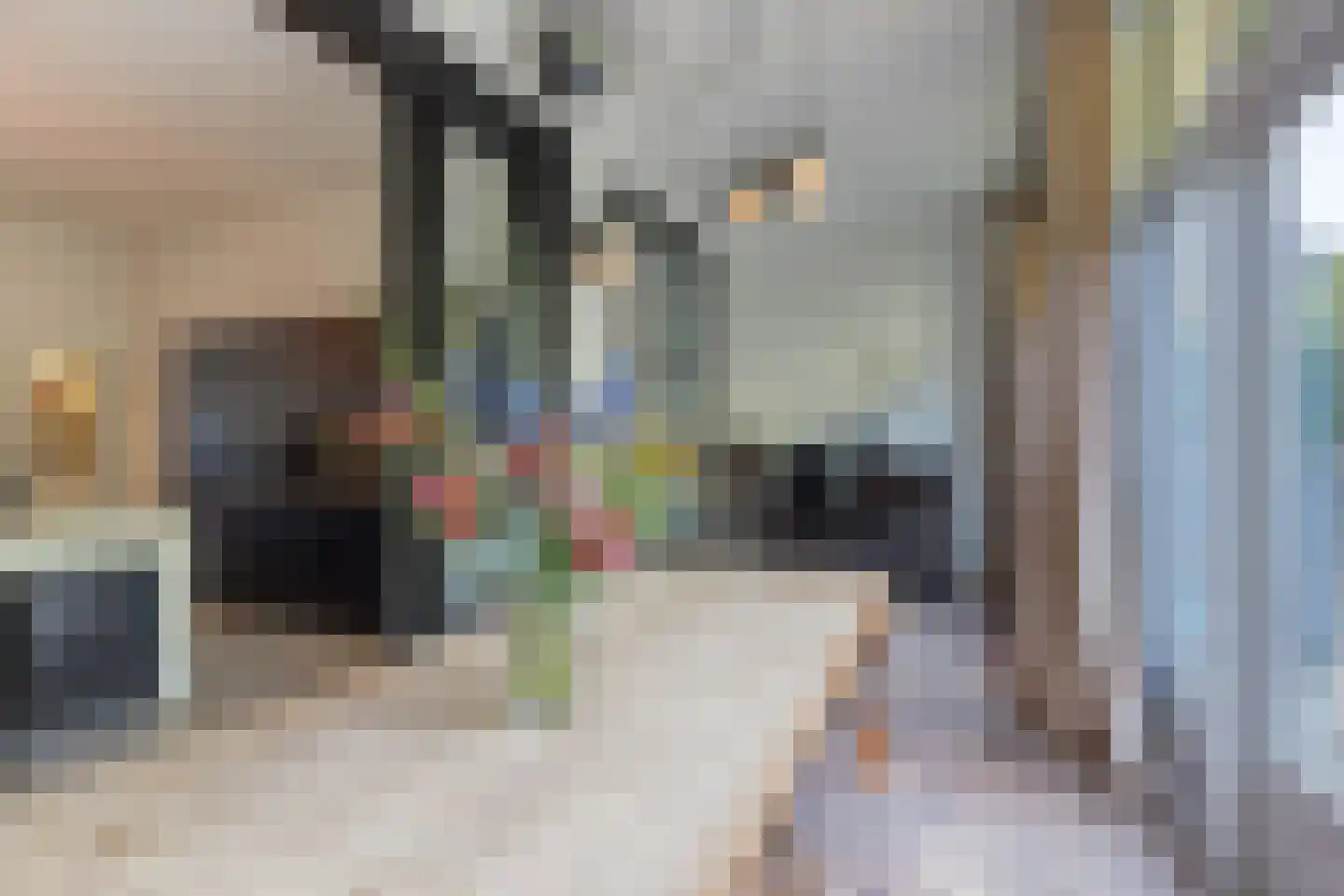 Statenlaan 58 Den Haag thumbnail 12