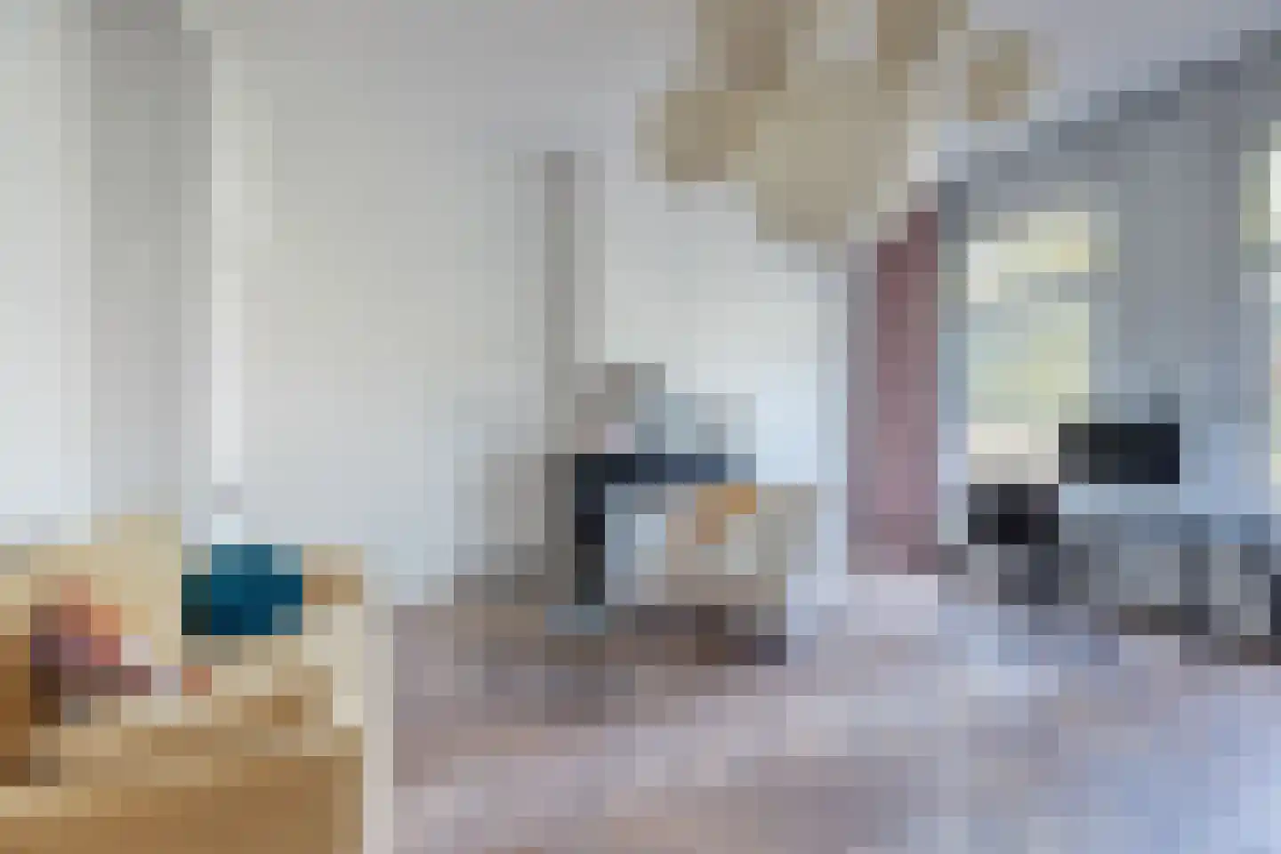 Statenlaan 58 Den Haag thumbnail 22