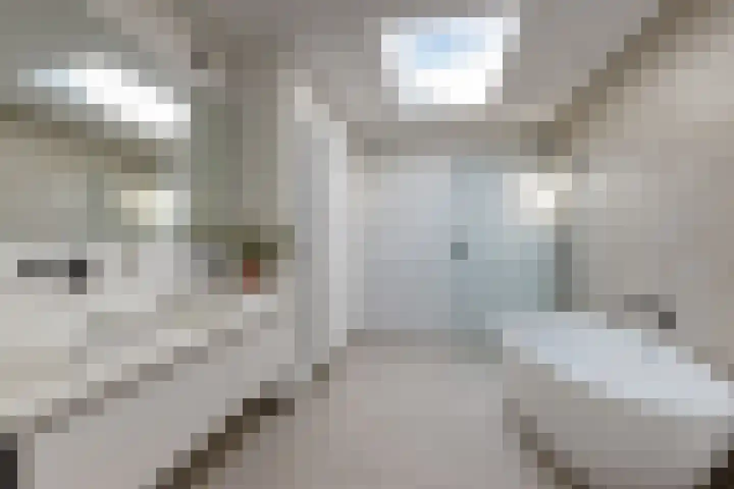 Statenlaan 58 Den Haag thumbnail 40