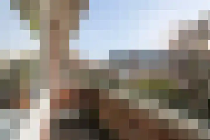 Statenlaan 59 Rotterdam thumbnail 22