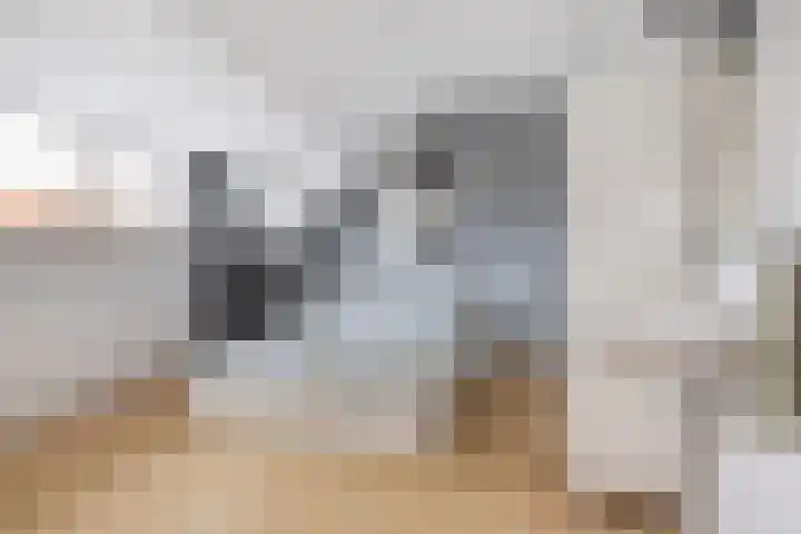 Statenlaan 59 Rotterdam thumbnail 33