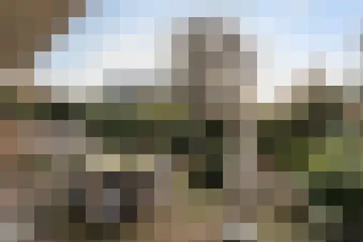Statenlaan 59 Rotterdam thumbnail 39