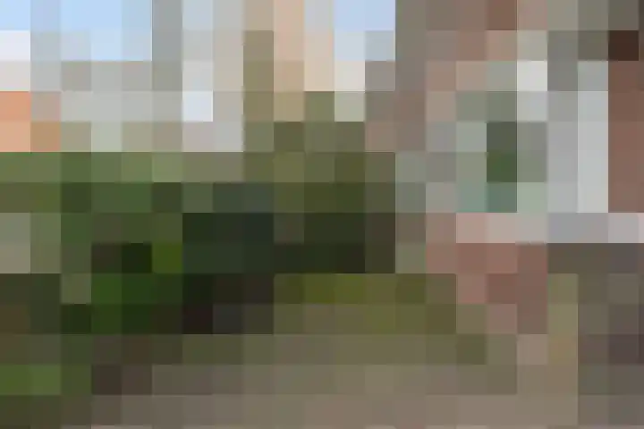 Statenlaan 59 Rotterdam thumbnail 44