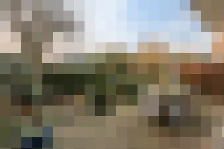 Statenlaan 59 Rotterdam thumbnail 9