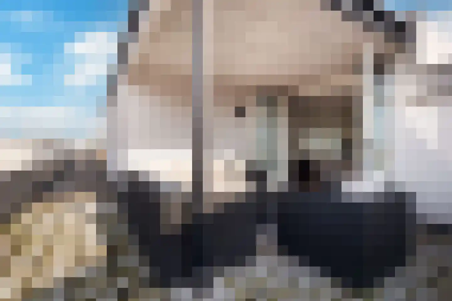 Statenlaan 597 's-Hertogenbosch thumbnail 24