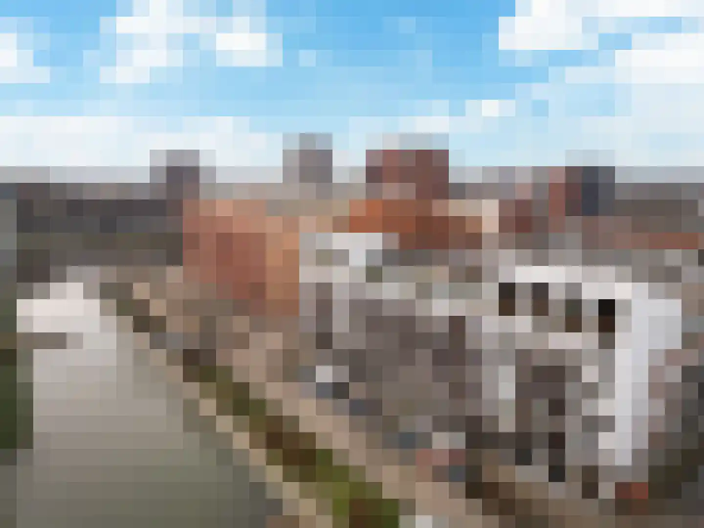Statenlaan 597 's-Hertogenbosch thumbnail 29