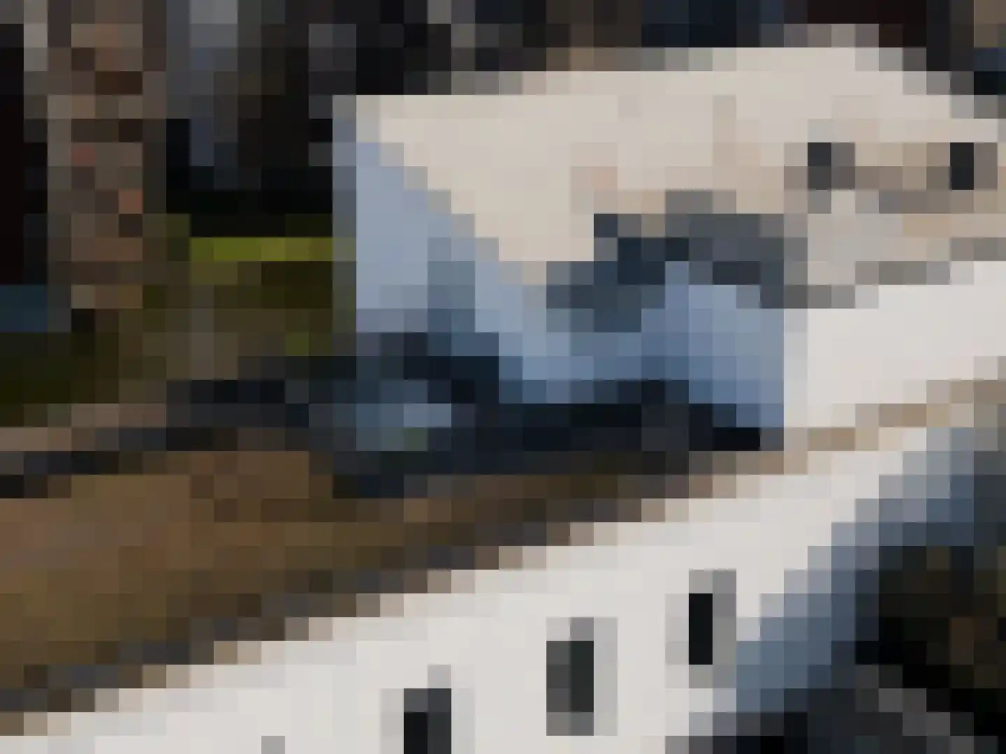 Statenlaan 597 's-Hertogenbosch thumbnail 36