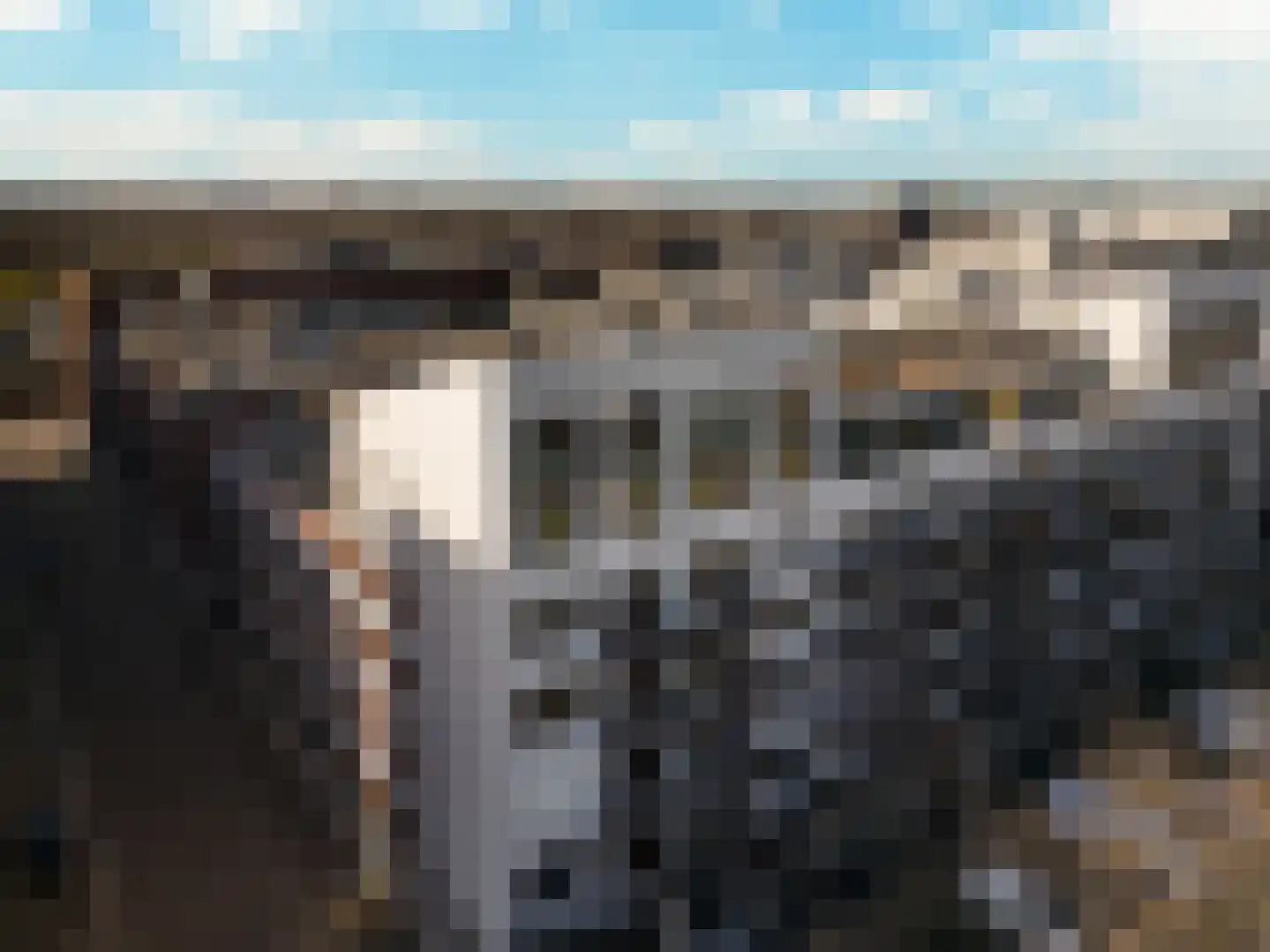 Statenlaan 597 's-Hertogenbosch thumbnail 37