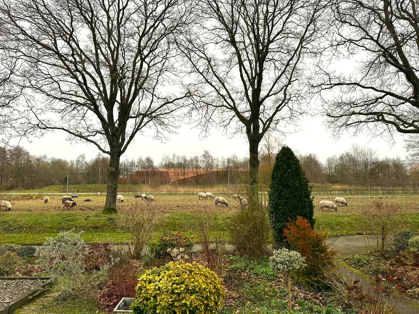 Statenlaan 61 in Roden