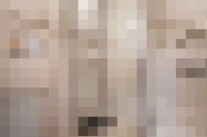 Statenlaan 61 Roden thumbnail 35