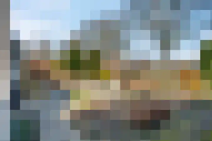 Statenlaan 61 Roden thumbnail 39