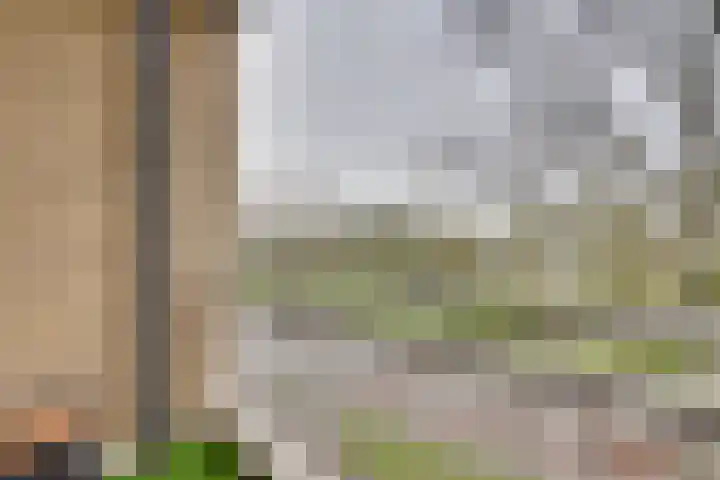 Statenlaan 64 Middelburg thumbnail 30