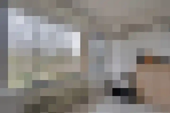 Statenlaan 64 Middelburg thumbnail 31