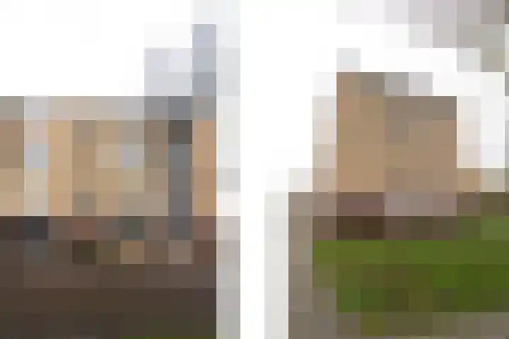 Statenlaan 64 Middelburg thumbnail 4