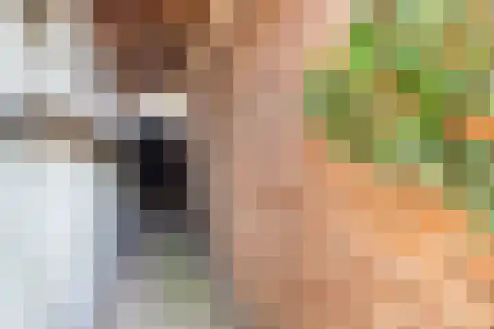 Statenlaan 69 Rijen thumbnail 19