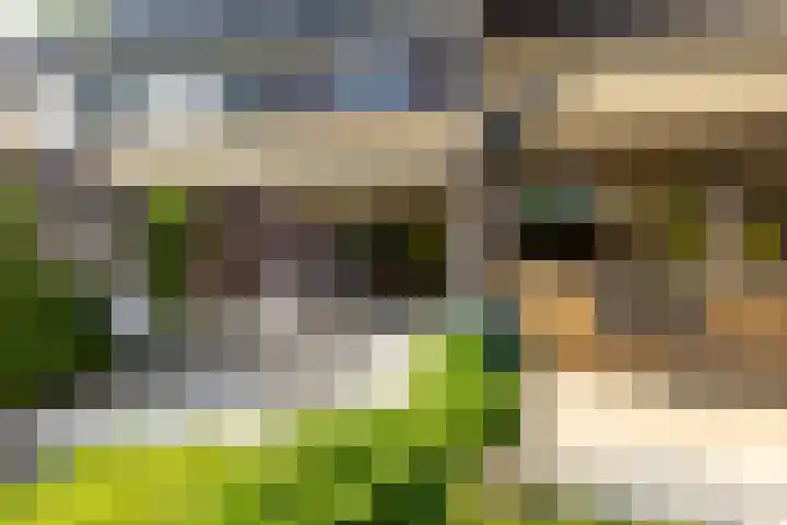 Statenlaan 69 Rijen thumbnail 22