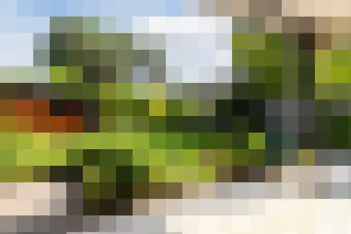 Statenlaan 69 Rijen thumbnail 24