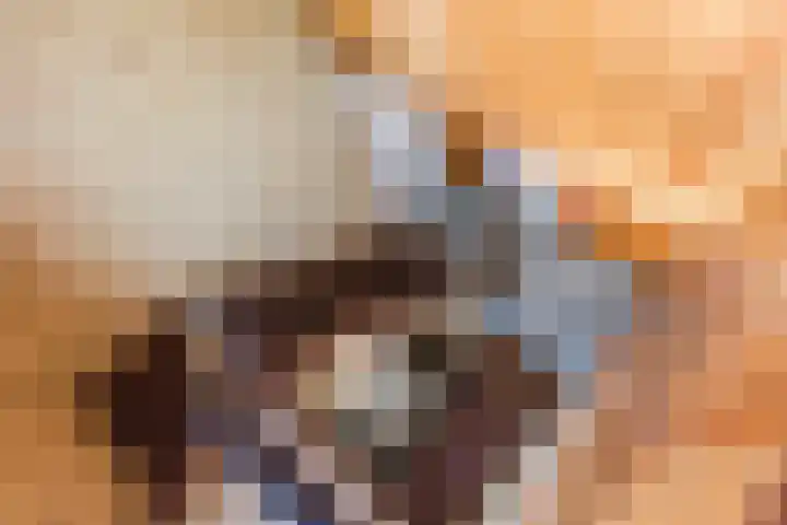Statenlaan 69 Rijen thumbnail 25