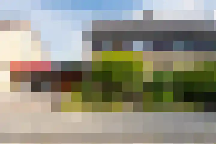 Statenlaan 69 Rijen thumbnail 38