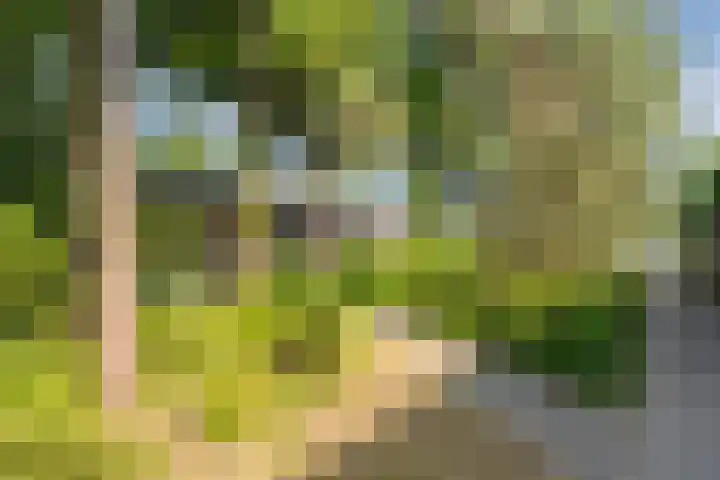 Statenlaan 69 Rijen thumbnail 44